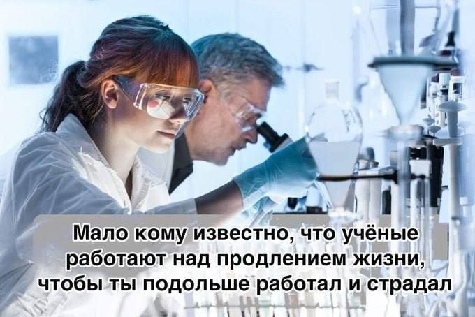 Будете пить таблетки с теломеразой, когда их придумают, чтоб жить до 150?