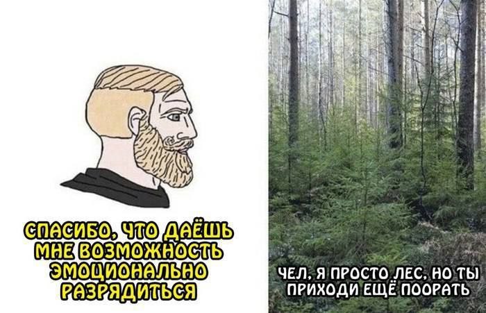 (без названия)